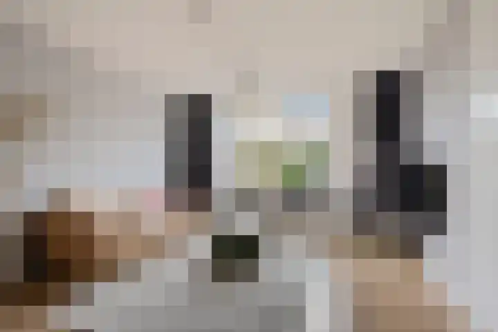 Fibula 4 Dokkum thumbnail 9