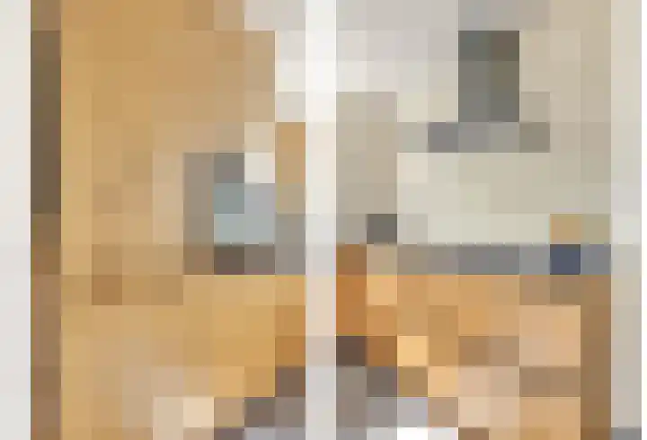 Fibula 43 Zuidland thumbnail 11