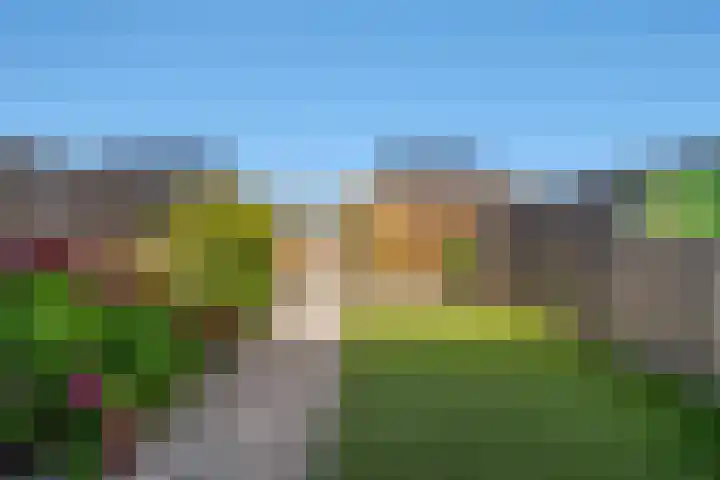 Fibula 43 Zuidland thumbnail 16