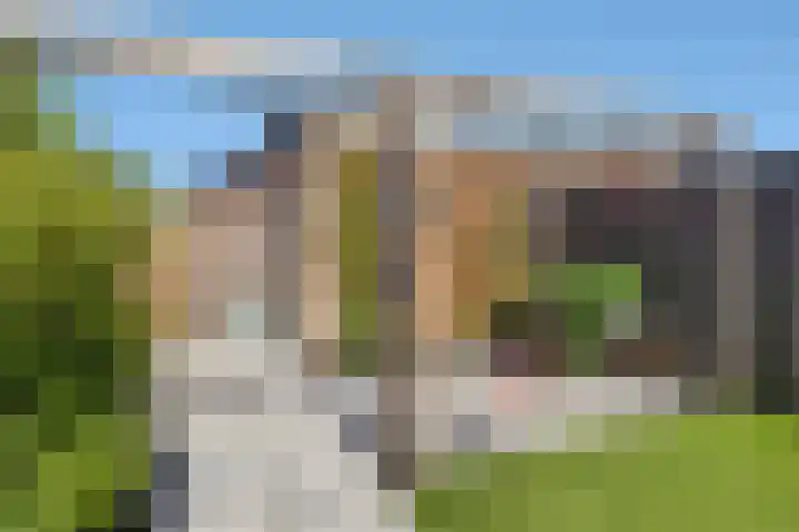 Fibula 43 Zuidland thumbnail 17