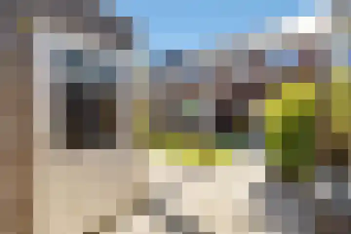 Fibula 43 Zuidland thumbnail 18