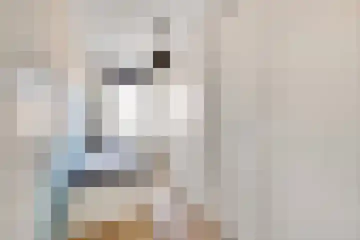 Fibula 43 Zuidland thumbnail 26
