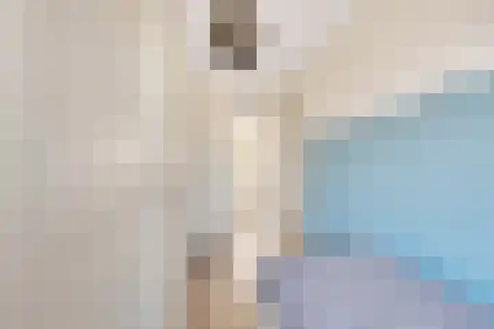 Fibula 43 Zuidland thumbnail 27