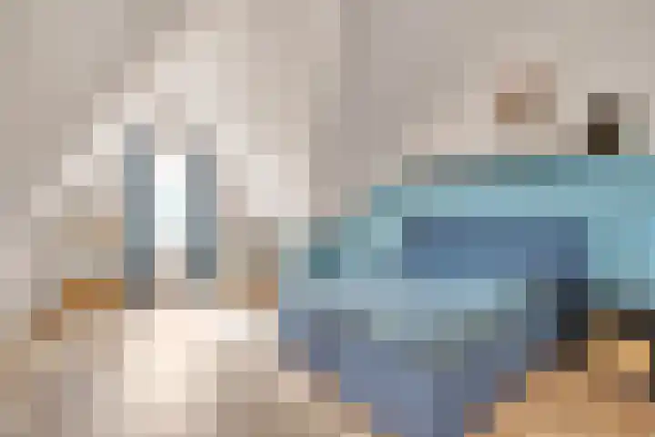 Fibula 43 Zuidland thumbnail 31