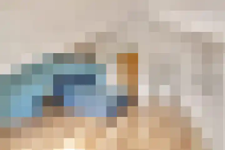 Fibula 43 Zuidland thumbnail 33