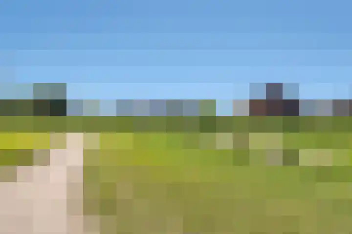 Fibula 43 Zuidland thumbnail 36