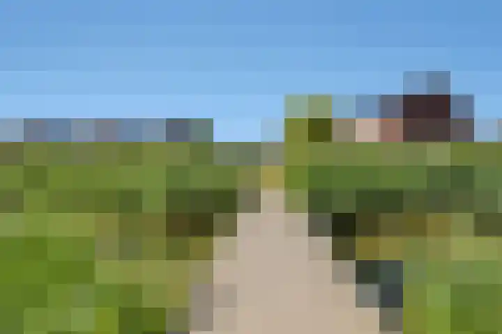 Fibula 43 Zuidland thumbnail 37
