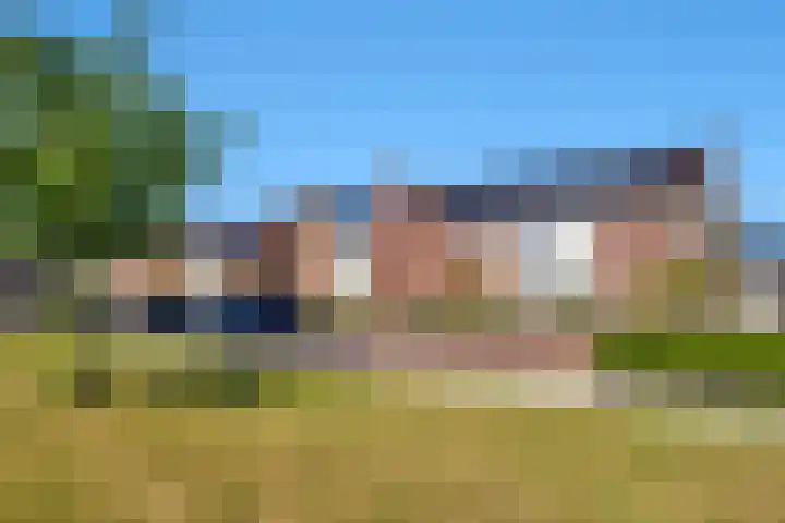 Fibula 43 Zuidland thumbnail 38