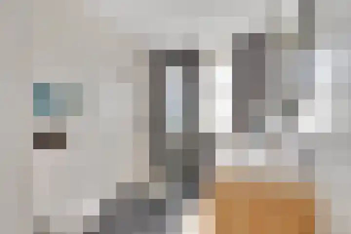 Fibula 43 Zuidland thumbnail 4