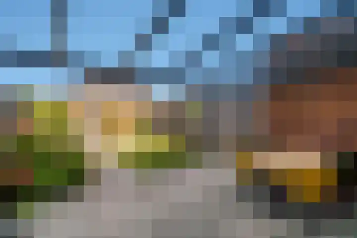 Fibula 43 Zuidland thumbnail 5