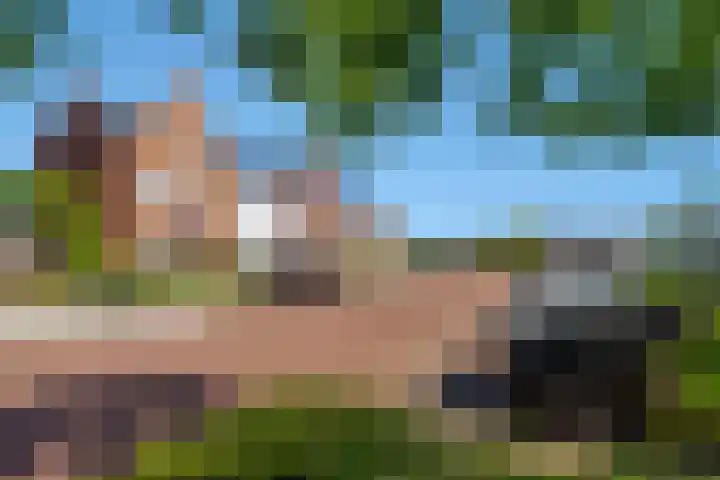 Fibula 43 Zuidland thumbnail 6