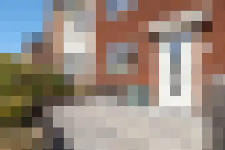Fibula 43 Zuidland thumbnail 7
