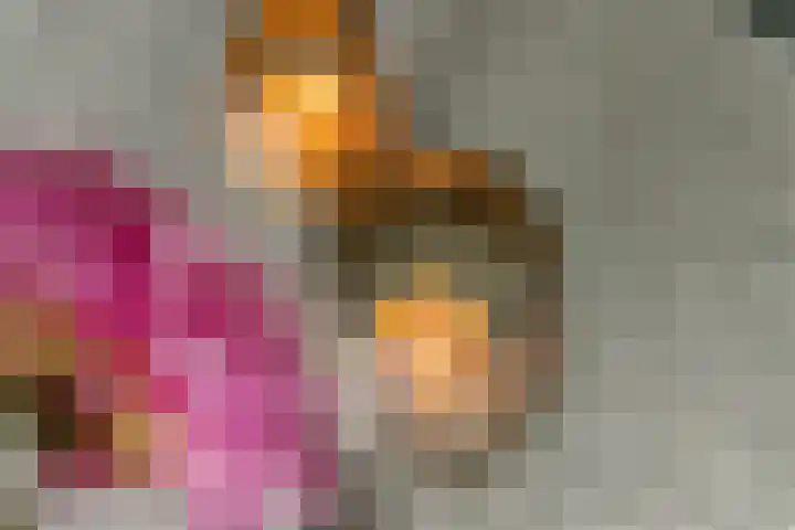Fibula 6 Zoelen thumbnail 12