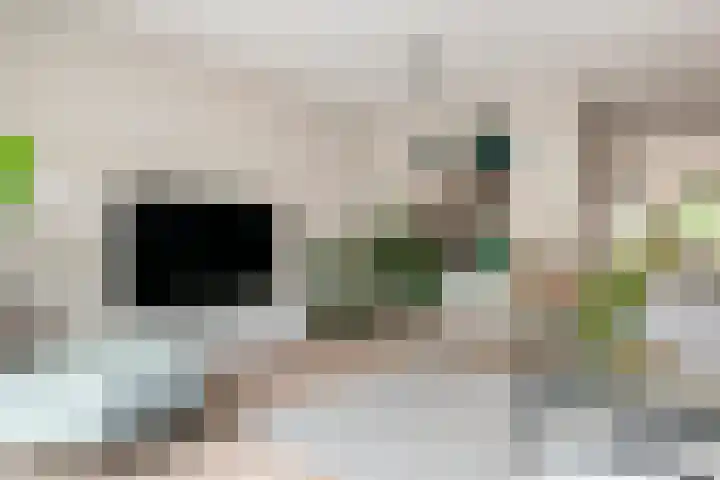 Fibula 6 Zoelen thumbnail 13