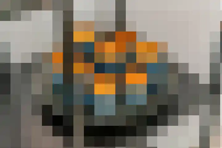 Fibula 6 Zoelen thumbnail 15
