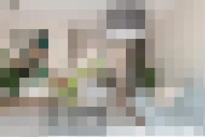Fibula 6 Zoelen thumbnail 18