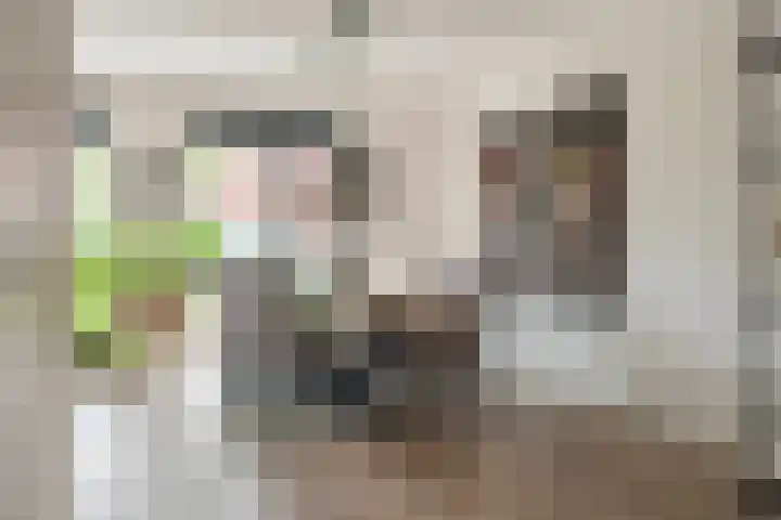 Fibula 6 Zoelen thumbnail 19