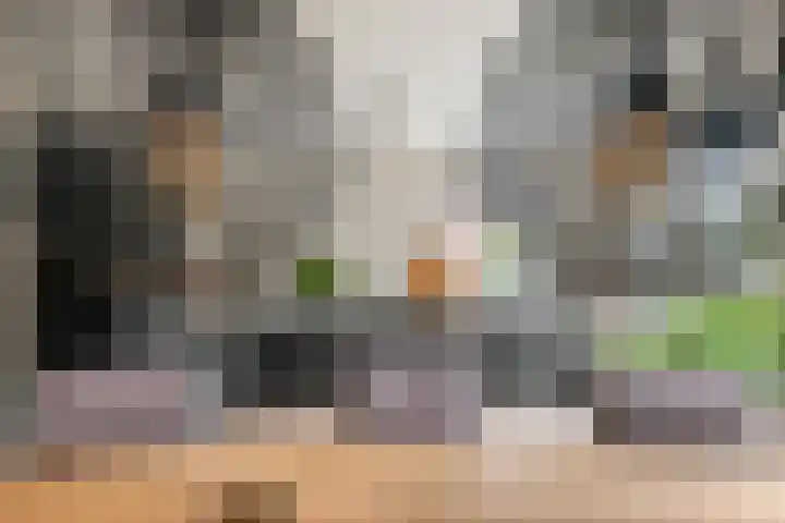 Fibula 6 Zoelen thumbnail 21
