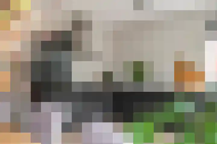 Fibula 6 Zoelen thumbnail 22