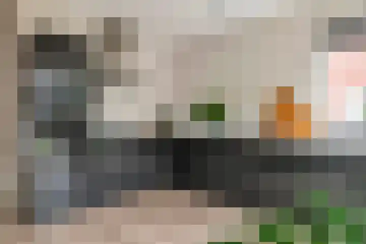 Fibula 6 Zoelen thumbnail 23