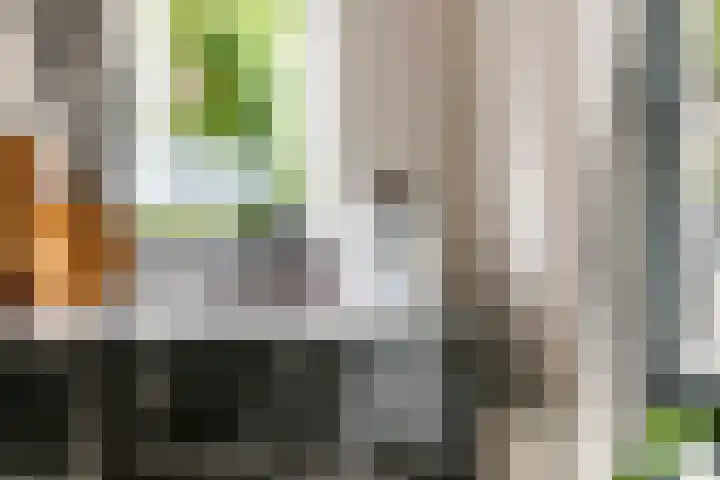 Fibula 6 Zoelen thumbnail 25