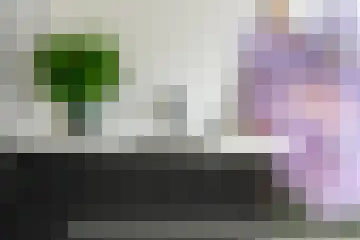 Fibula 6 Zoelen thumbnail 27