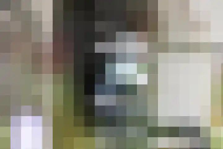 Fibula 6 Zoelen thumbnail 30