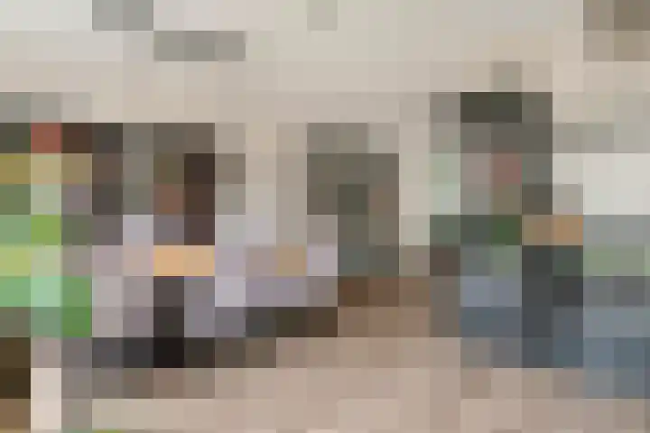 Fibula 6 Zoelen thumbnail 32