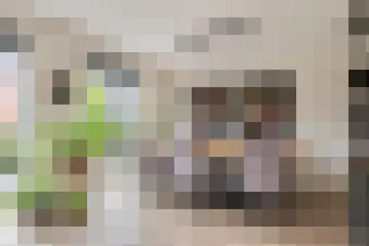 Fibula 6 Zoelen thumbnail 33
