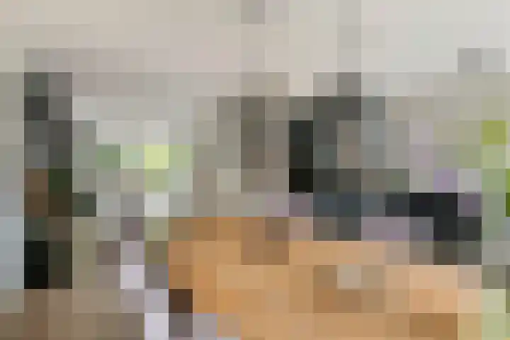 Fibula 6 Zoelen thumbnail 34