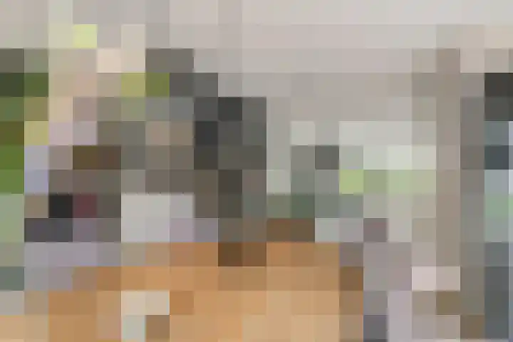 Fibula 6 Zoelen thumbnail 36