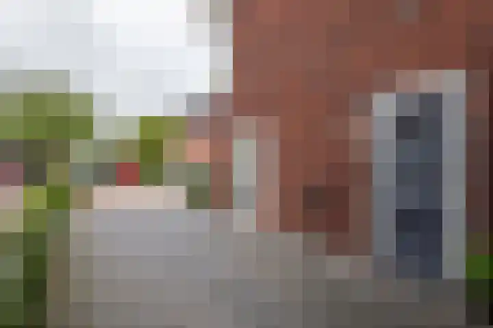 Fibula 6 Zoelen thumbnail 4