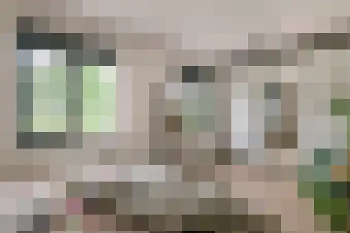 Fibula 6 Zoelen thumbnail 40