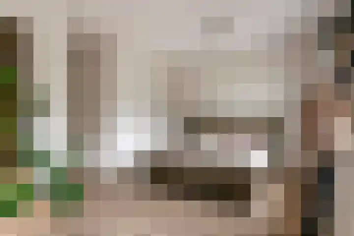 Fibula 6 Zoelen thumbnail 41