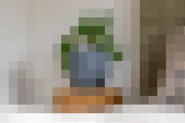 Fibula 6 Zoelen thumbnail 42
