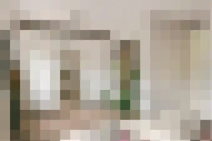 Fibula 6 Zoelen thumbnail 45