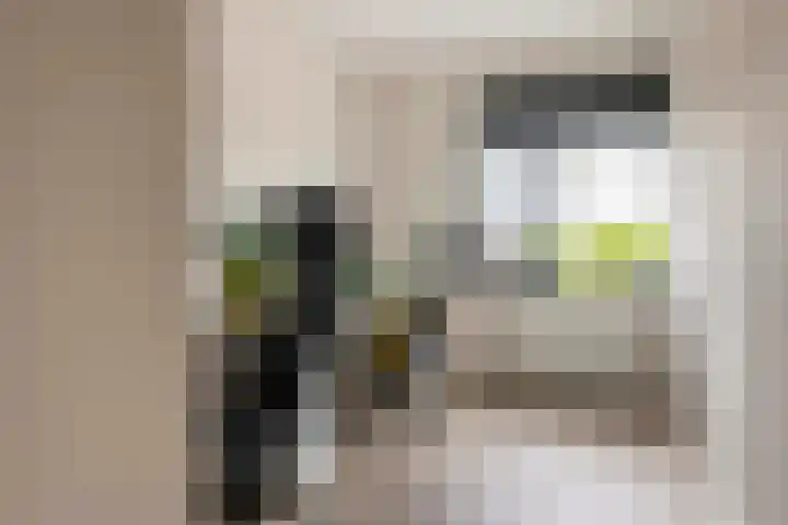 Fibula 6 Zoelen thumbnail 46