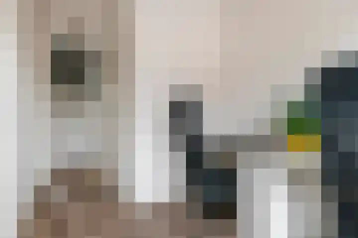 Fibula 6 Zoelen thumbnail 47