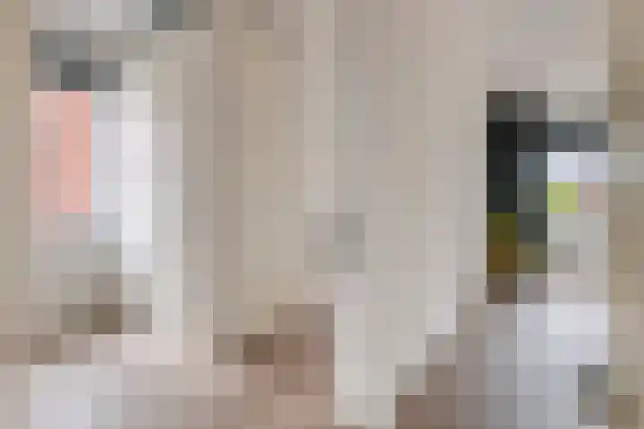 Fibula 6 Zoelen thumbnail 48