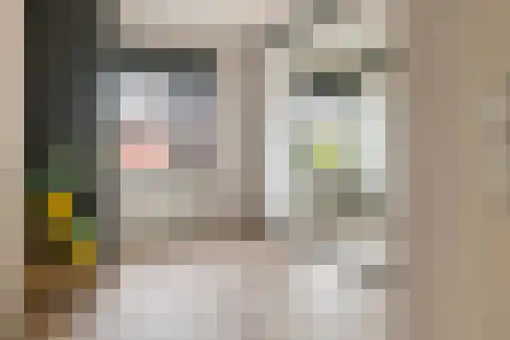 Fibula 6 Zoelen thumbnail 49