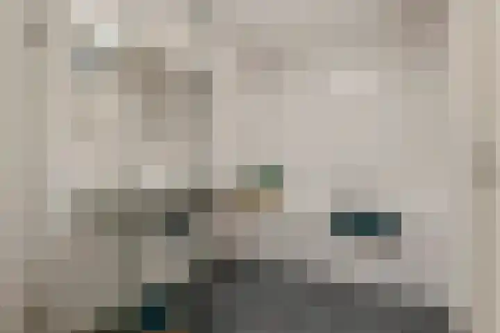 Fibula 6 Zoelen thumbnail 53