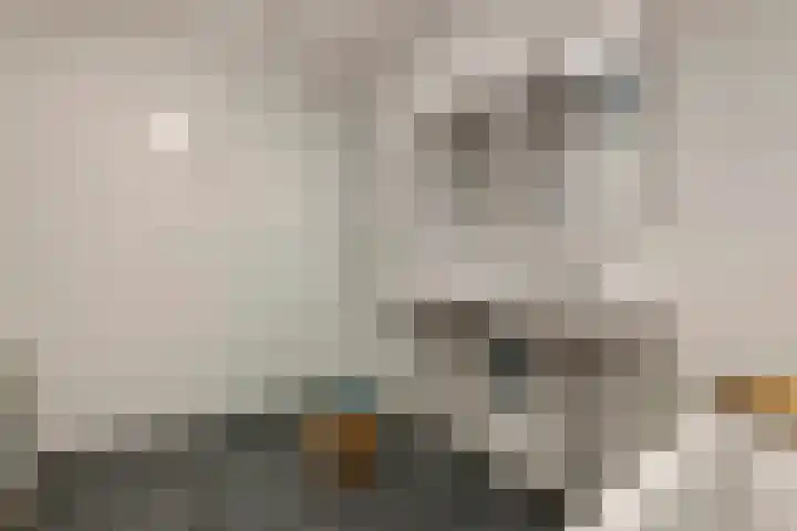 Fibula 6 Zoelen thumbnail 54