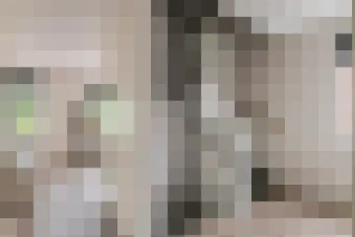 Fibula 6 Zoelen thumbnail 56