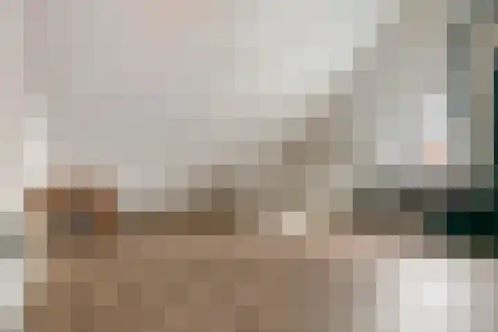 Fibula 6 Zoelen thumbnail 57