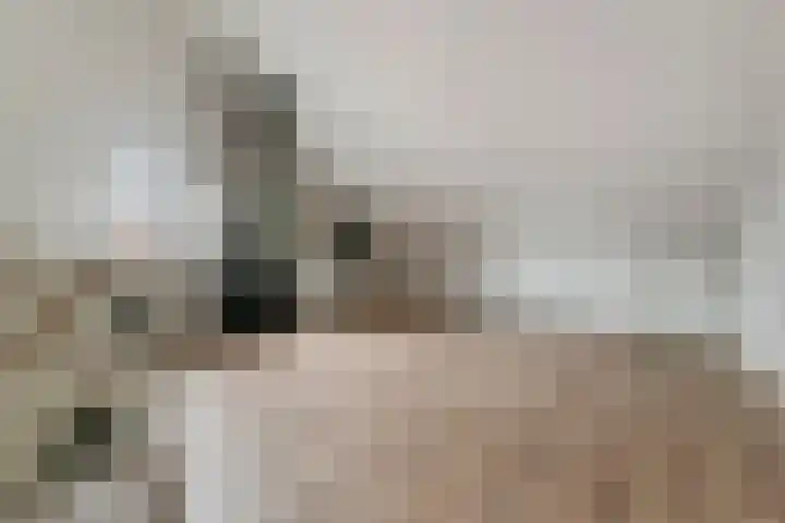 Fibula 6 Zoelen thumbnail 58