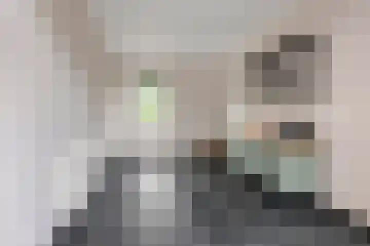 Fibula 6 Zoelen thumbnail 59