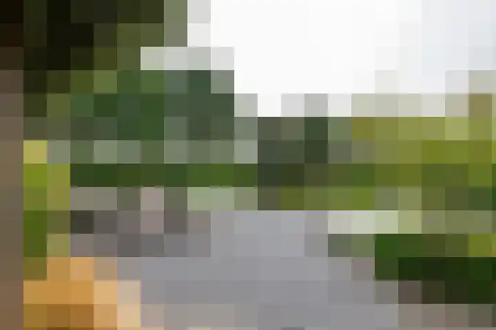 Fibula 6 Zoelen thumbnail 62