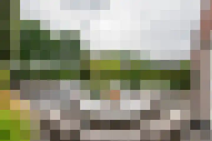 Fibula 6 Zoelen thumbnail 63
