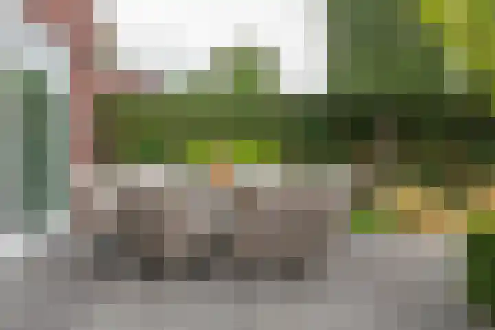 Fibula 6 Zoelen thumbnail 65