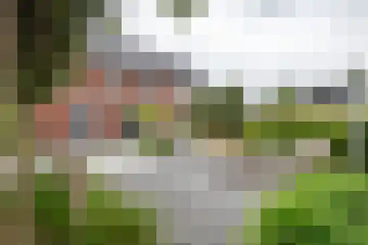 Fibula 6 Zoelen thumbnail 66